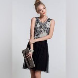 Anthropologie Black and Cream Dress